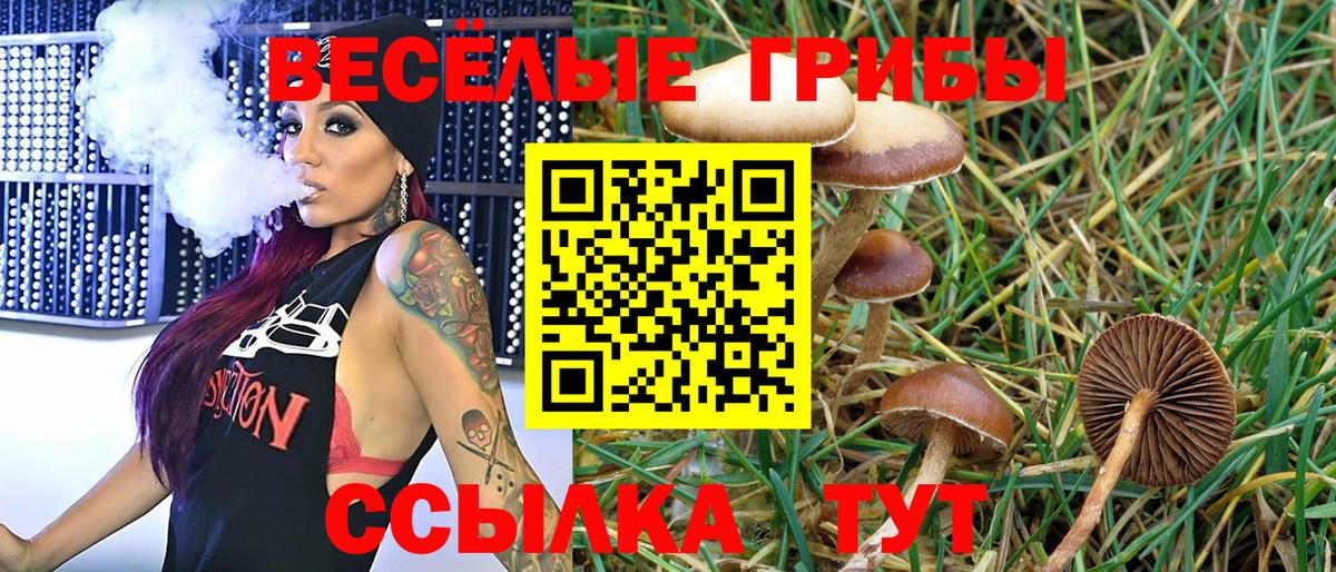 Партизанск  Галлюциногенные грибы мухоморы  где продают   Вход с VPN 